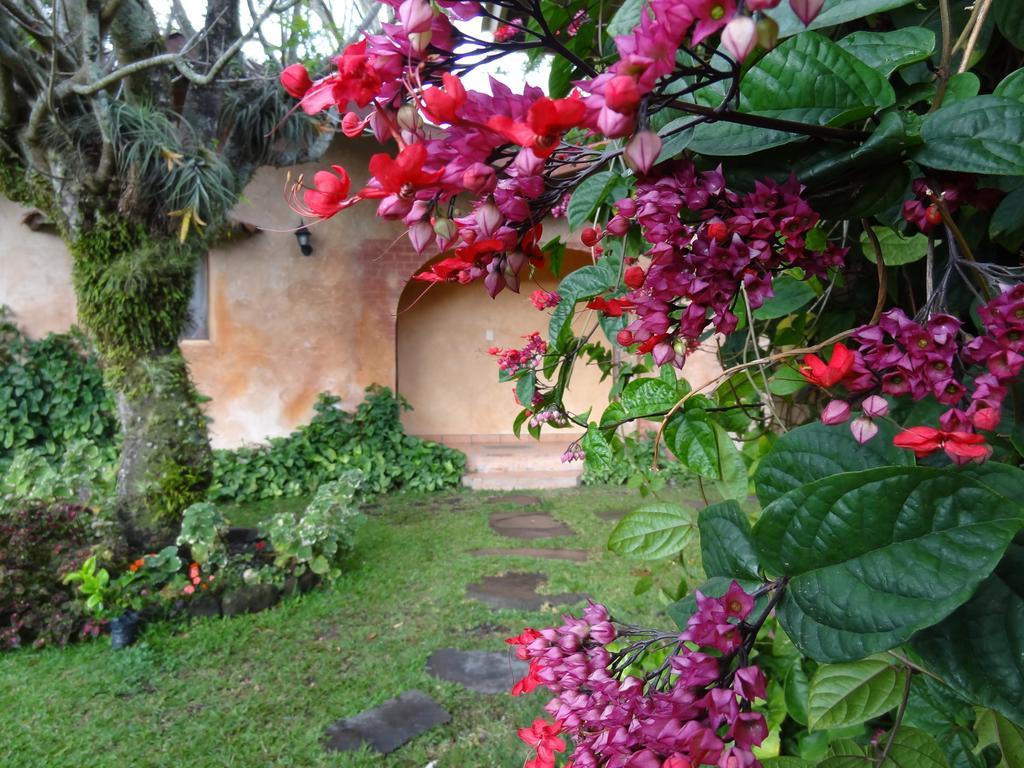 Valle Primavera Hotel Boquete Luaran gambar